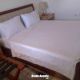 Quarto Standard